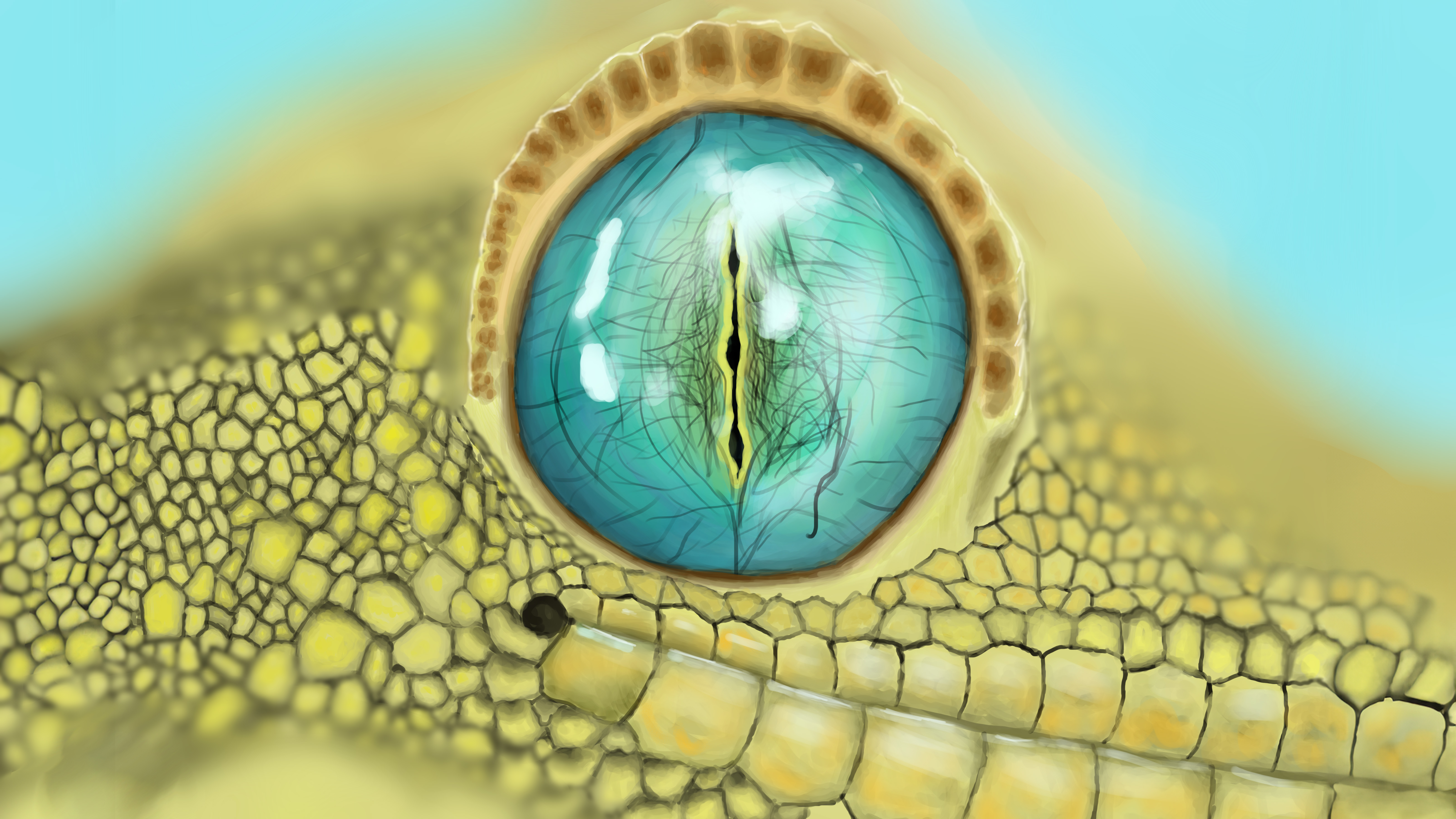 Gecko Eye