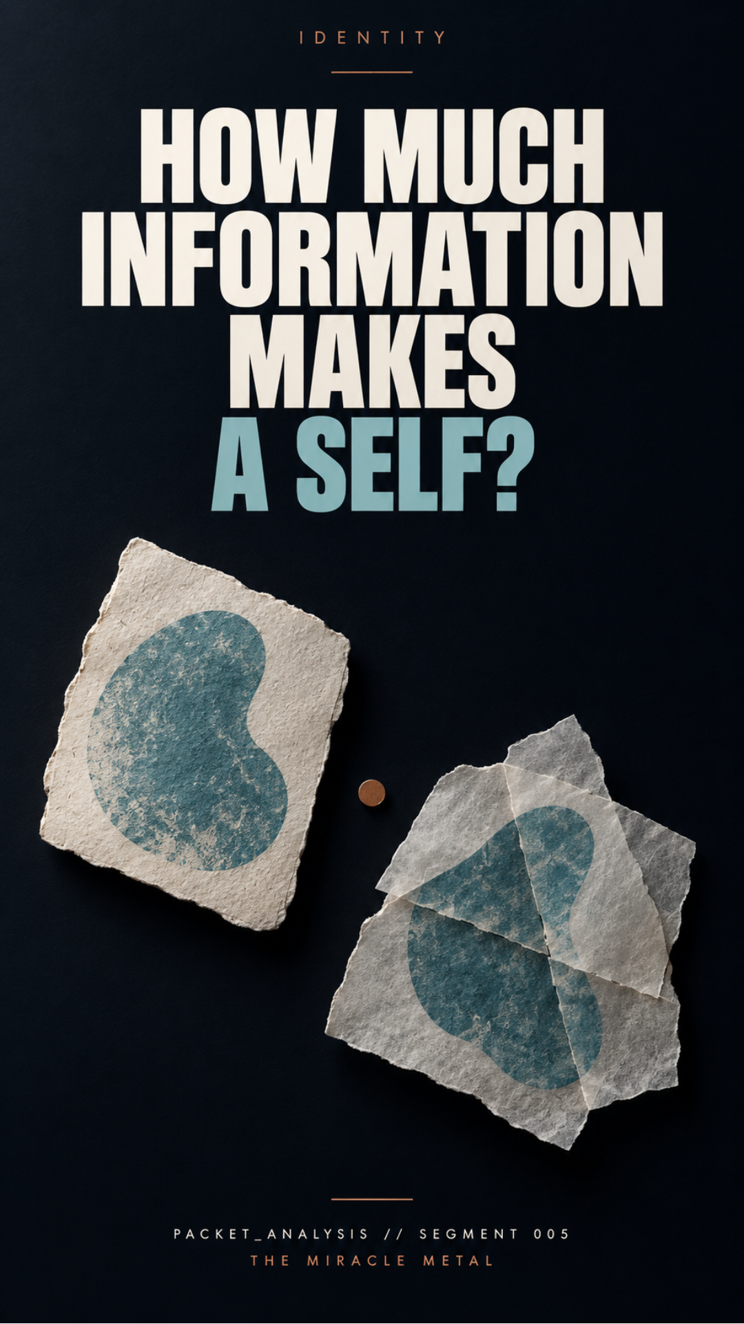 HOW MUCH INFORMATION MAKES A SELF?